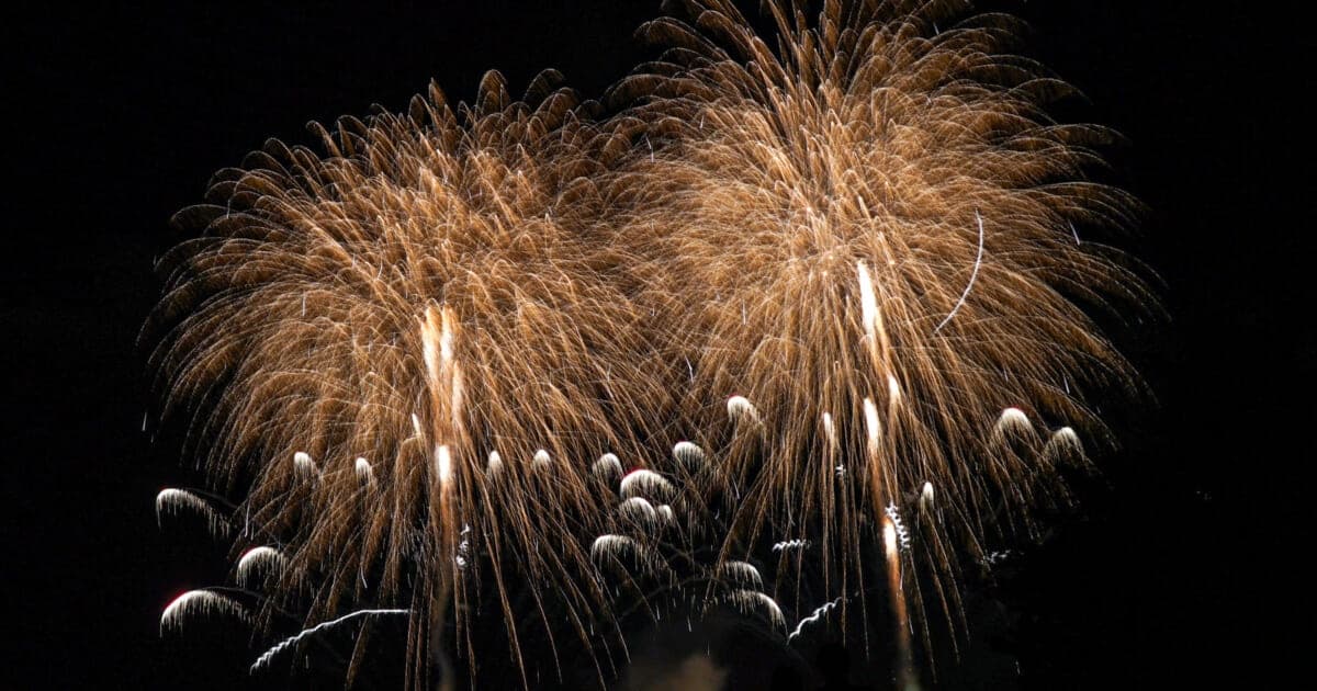 横須賀市西地区納涼花火大会