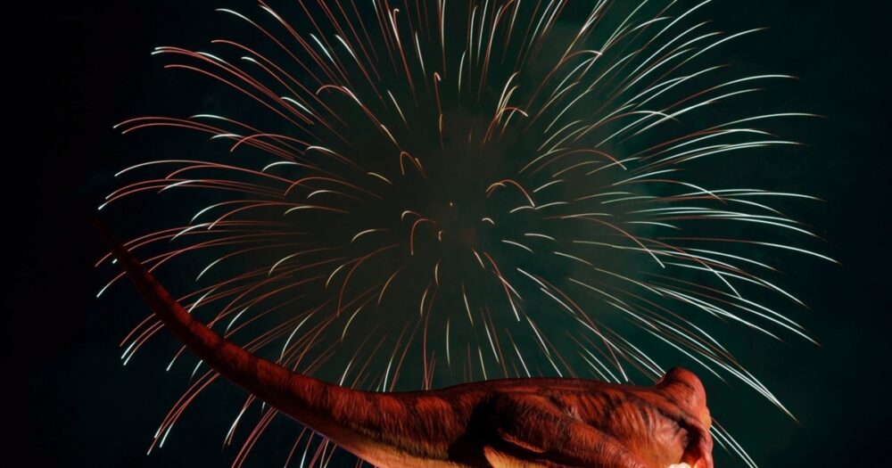 勝山納涼花火大会