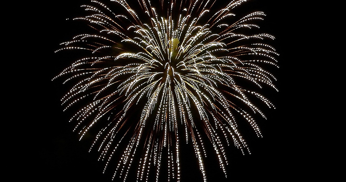 名港水上芸術花