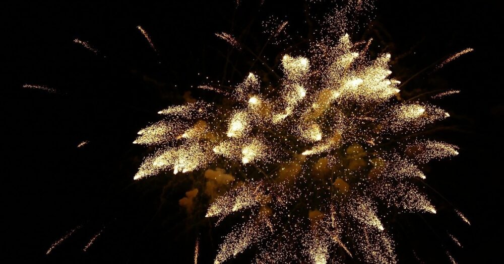 中村公園夏まつり 納涼花火鑑賞会